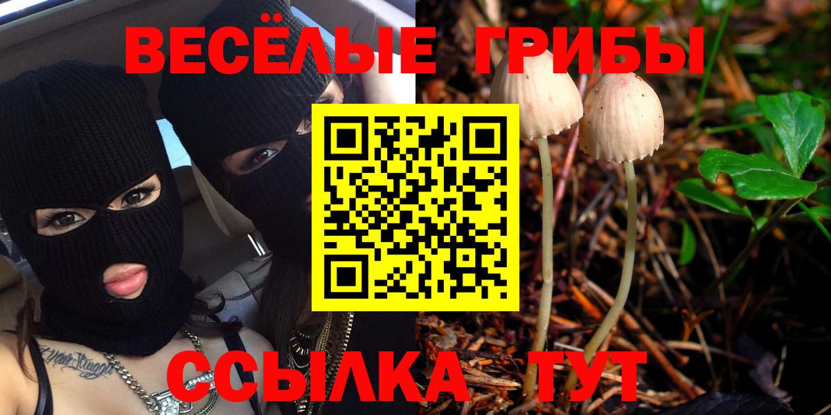 Галлюциногенные грибы GOLDEN TEACHER Ефремов