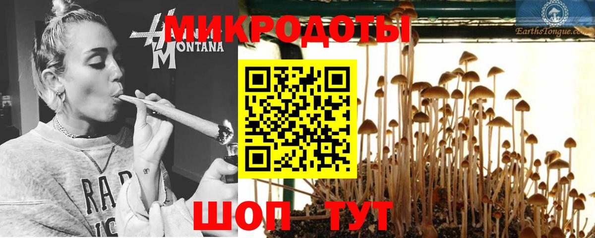 Ефремов  Псилоцибиновые грибы ЛСД  Вход с VPN 